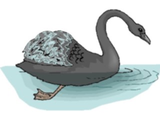 Sticker Custom Preview Image #017304 Animals Birds Swan Black