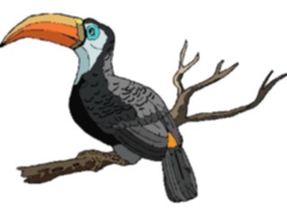 Sticker Custom Preview Image #017329 Animals Birds Toucan11