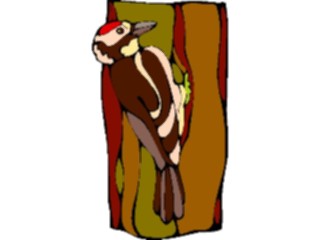 Sticker Custom Preview Image #017366 Animals Birds Woodpecker05