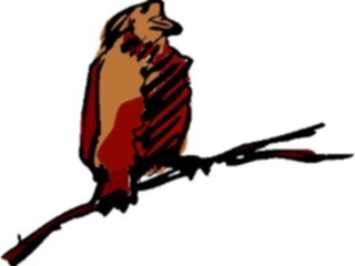 Sticker Custom Preview Image #017433 Animals Brush Stroke Bird Perched1