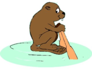 Sticker Custom Preview Image #017834 Animals Cartoons Beaver Rowing