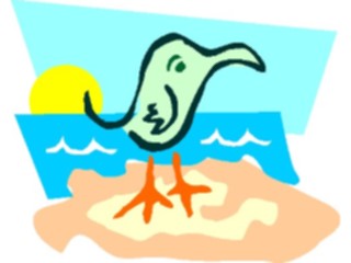 Sticker Custom Preview Image #017936 Animals Cartoons Bird Beach
