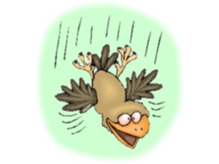 Sticker Custom Preview Image #017949 Animals Cartoons Bird Falling1