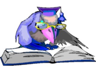 Sticker Custom Preview Image #017989 Animals Cartoons Bird Scholar