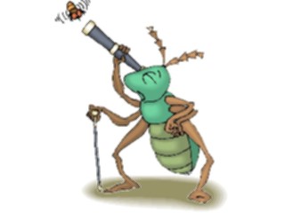 Sticker Custom Preview Image #018071 Animals Cartoons Bug Watching Fly