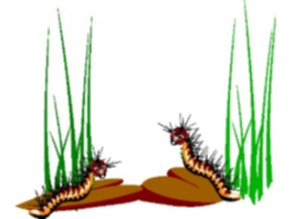 Sticker Custom Preview Image #018587 Animals Cartoons Caterpillars2