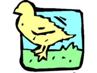 Sticker Custom Preview Image #018613 Animals Cartoons Chick06