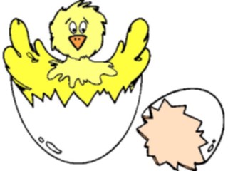 Sticker Custom Preview Image #018630 Animals Cartoons Chick Hatching2