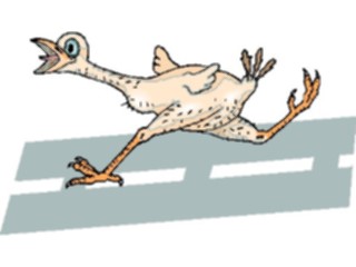 Sticker Custom Preview Image #018680 Animals Cartoons Chickenon Highway