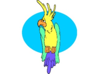 Sticker Custom Preview Image #018728 Animals Cartoons Cockatoo