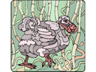 Sticker Custom Preview Image #019011 Animals Cartoons Dodo Bird3