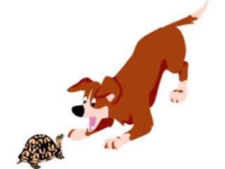 Sticker Custom Preview Image #019455 Animals Cartoons Dog Turtle