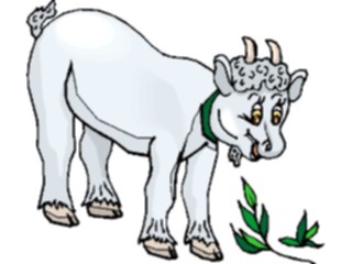 Sticker Custom Preview Image #020279 Animals Cartoons Goat Kid
