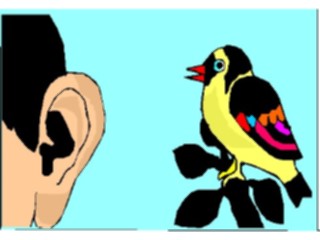 Sticker Custom Preview Image #020680 Animals Cartoons Little Bird Told Me