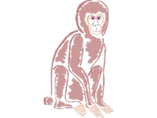 Sticker Custom Preview Image #020759 Animals Cartoons Monkey05