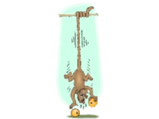 Sticker Custom Preview Image #020773 Animals Cartoons Monkey Grabbing Oranges