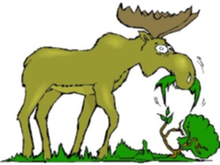 Sticker Custom Preview Image #020835 Animals Cartoons Moose Eating2