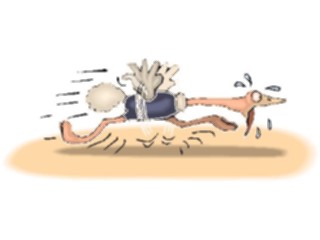 Sticker Custom Preview Image #021044 Animals Cartoons Ostrich Running1