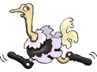 Sticker Custom Preview Image #021045 Animals Cartoons Ostrich Running2