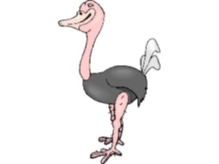 Sticker Custom Preview Image #021047 Animals Cartoons Ostrich Smiling
