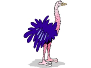 Sticker Custom Preview Image #021048 Animals Cartoons Ostrich Stubbly