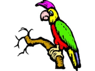 Sticker Custom Preview Image #021144 Animals Cartoons Parrot24