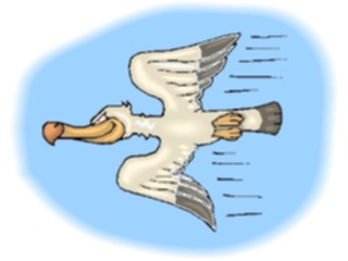 Sticker Custom Preview Image #021176 Animals Cartoons Pelican Flying