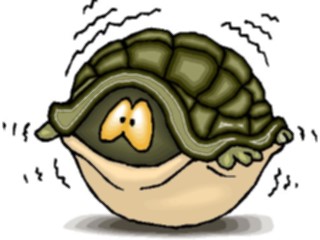 Sticker Custom Preview Image #022197 Animals Cartoons Tortoise Scared