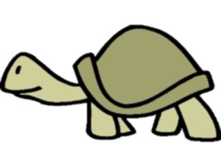 Sticker Custom Preview Image #022240 Animals Cartoons Turtle01