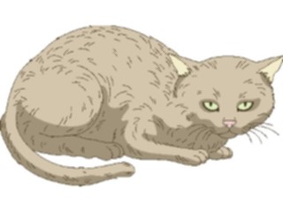 Sticker Custom Preview Image #022748 Animals Domesticated Cat18
