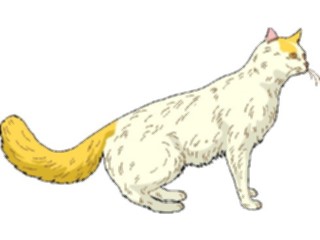 Sticker Custom Preview Image #022752 Animals Domesticated Cat22