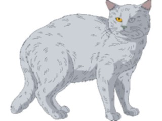 Sticker Custom Preview Image #022757 Animals Domesticated Cat27