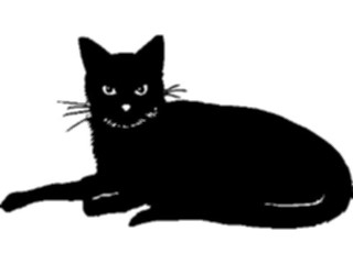 Sticker Custom Preview Image #022765 Animals Domesticated Cat35