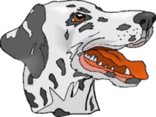 Sticker Custom Preview Image #022888 Animals Domesticated Dalmatian6