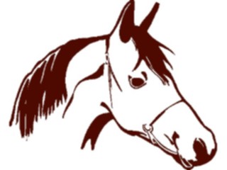 Sticker Custom Preview Image #023169 Animals Domesticated Horse13