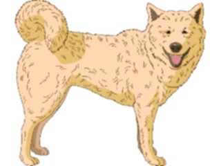 Sticker Custom Preview Image #023310 Animals Domesticated Siberian Huskey1