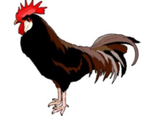 Sticker Custom Preview Image #023372 Animals Farm Animals Chicken15