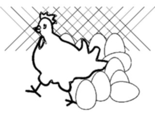 Sticker Custom Preview Image #023383 Animals Farm Animals Chicken Eggs