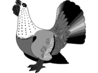 Sticker Custom Preview Image #023565 Animals Farm Animals Turkey3