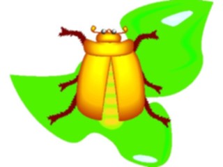 Sticker Custom Preview Image #023629 Animals Insects Beetle14