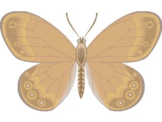 Sticker Custom Preview Image #023728 Animals Insects Butterfly073