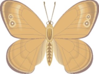 Sticker Custom Preview Image #023729 Animals Insects Butterfly074