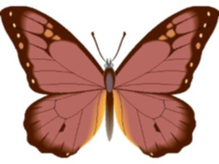 Sticker Custom Preview Image #023732 Animals Insects Butterfly077