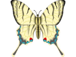 Sticker Custom Preview Image #023736 Animals Insects Butterfly081