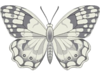 Sticker Custom Preview Image #023739 Animals Insects Butterfly084