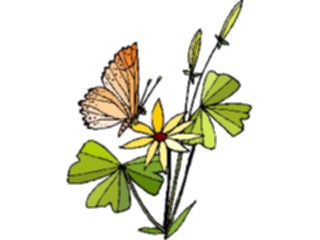 Sticker Custom Preview Image #023786 Animals Insects Butterfly131