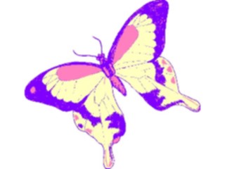 Sticker Custom Preview Image #023796 Animals Insects Butterfly141