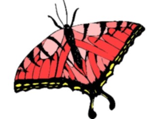 Sticker Custom Preview Image #023797 Animals Insects Butterfly142