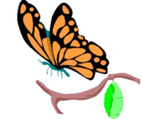 Sticker Custom Preview Image #023810 Animals Insects Butterfly Cocoon
