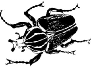 Sticker Custom Preview Image #023835 Animals Insects Crawling Insect02